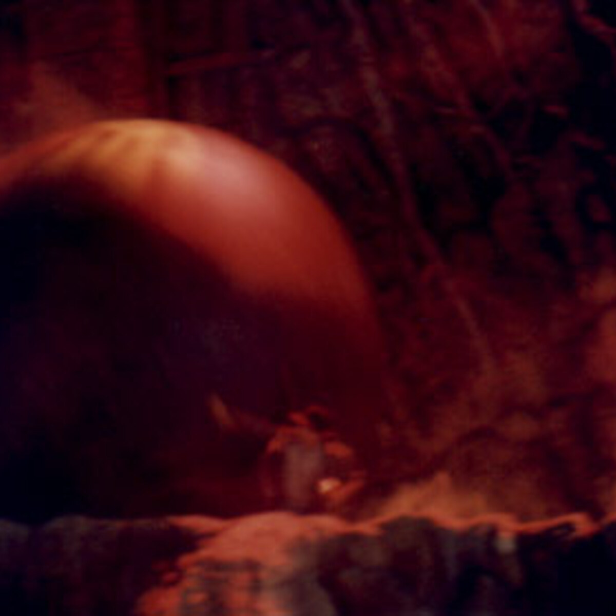 JD Roberto in an Indiana Jones-style boulder scene